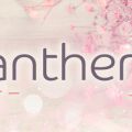 Panther～パンサー