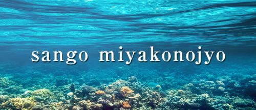 sango miyakonojyou