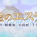金のエステ 藤沢・相模原・小田原・上大岡店