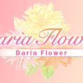 Daria Flower