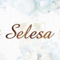 Selesa～セレーサ～
