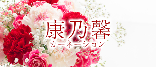 康乃馨（カーネーション）