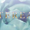 草津メンズエステ TEREA