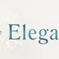 秋田メンズエステ Elegance エレガンス