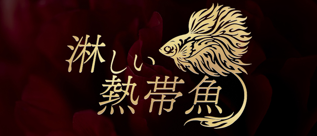 Mrs.淋しい熱帯魚