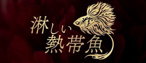 Mrs.淋しい熱帯魚