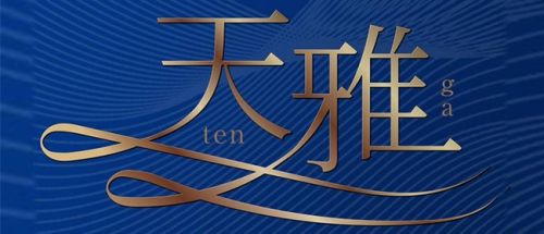 天雅 TENGA
