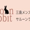 Saloon rabbit