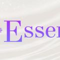 郡山メンズエステ Essence エッセンス