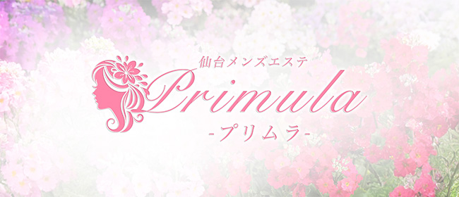 Primula-プリムラ-