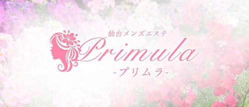 Primula-プリムラ-